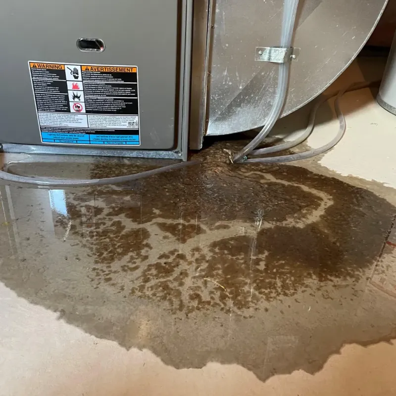 Appliance Leak Cleanup in Washington County, MN